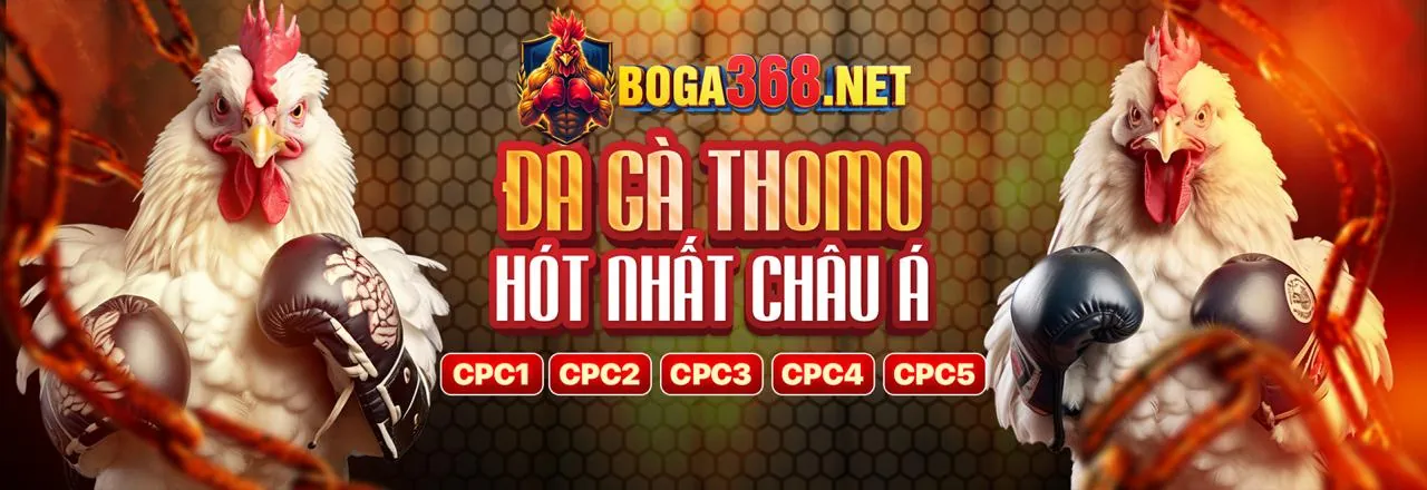 Chương trình VIP cobet game